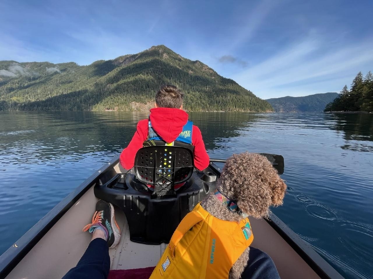 A Lagotto wearing a life jacket on a canoe outing on a mountain lake
